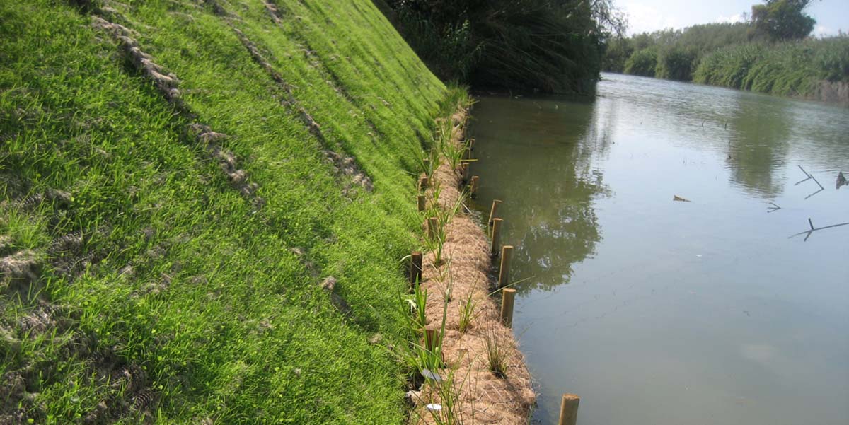 3D erosion control blankets MSTEROSION CONTROL